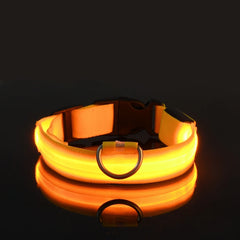 Nylon LED Night Safety Flashing Glow In The Dark Dog Leash Dogs Luminous Fluorescent Pet Dog Collar Pet Shop