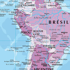 Wall Poster Map of The World French Language Polyester Vinyl Painting Office School Supplies Home Decoration Carte Monde