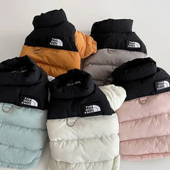 Pet Warm Cotton Coat Two-legged Dog Clothes Thickened Teddy Down Jacket Small to Medium Dog Cute Winter Pet Shop Pet Clothing