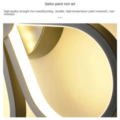 Modern Baked Enamel Finish LED Ceiling Lamp 3 Color Temperature Corridor Lights Balcony Lamps Bedroom Living Room 110V-240V