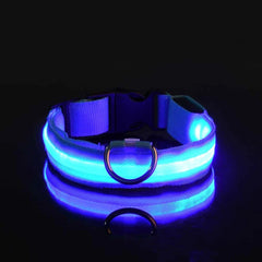 Nylon LED Night Safety Flashing Glow In The Dark Dog Leash Dogs Luminous Fluorescent Pet Dog Collar Pet Shop