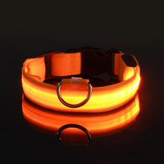 Nylon LED Night Safety Flashing Glow In The Dark Dog Leash Dogs Luminous Fluorescent Pet Dog Collar Pet Shop