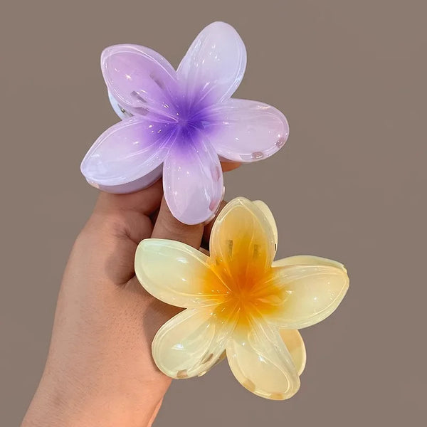 2pcs-5