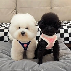 Winter Warm Chihuahua Dog Harness with Fur Walking Pet Harnesses and Leash Set for Small Dogs Puppy Yorkies mascotas Accessories Pet Shop
