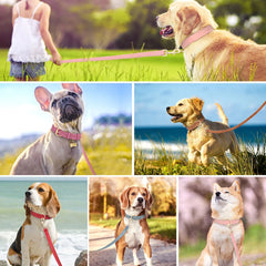 Soft Padded Dog Collar Leash Set PU Leather Pet Dog Collars With Walking Lead Rope Adjustable For Small Medium Dogs Pug Pet Shop