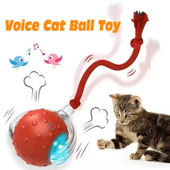 New Cat Interactive Ball Toy,Automatic Rolling Cat Ball Rechargeable,Smart Kitten Interactive Toy,Intelligent Balls Toy for Cat Pet Shop