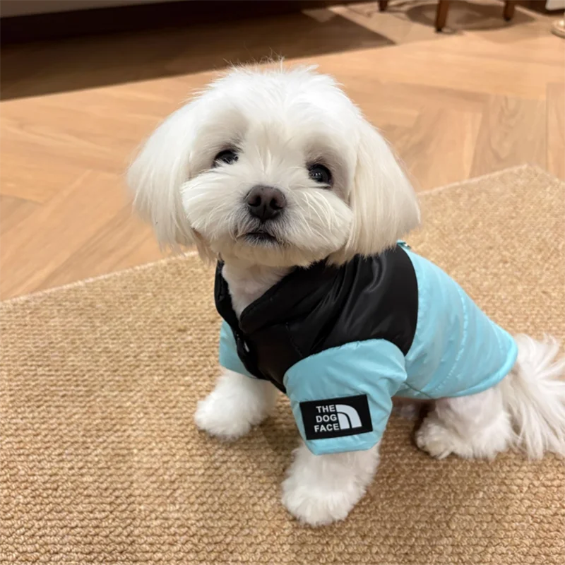 Pet Warm Cotton Coat Two-legged Dog Clothes Thickened Teddy Down Jacket Small to Medium Dog Cute Winter Pet Shop Pet Clothing