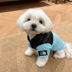 Pet Warm Cotton Coat Two-legged Dog Clothes Thickened Teddy Down Jacket Small to Medium Dog Cute Winter Pet Shop Pet Clothing