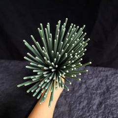 Bulk Sale 22cm/8.66inch White Sage Incense Sticks Clean and Low Powder for Yaga Meditation Hotel Home Bamboo Stick Incense
