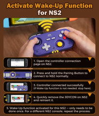IINE Retro Pocket Chronos Controller Nintendo Layout, Hall Effect Joysticks, 1000Hz Polling Rate,Portable for Switch/PC/Mobile