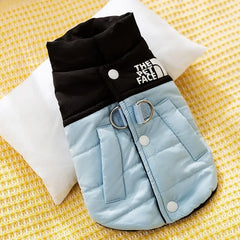 Pet Warm Cotton Coat Two-legged Dog Clothes Thickened Teddy Down Jacket Small to Medium Dog Cute Winter Pet Shop Pet Clothing