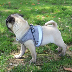 Vest Harness Leash Adjustable Mesh Vest Dog Harness Collar Chest Strap Leash Harnesses With Traction Rope XS/S/M/L/XL Pet Shop