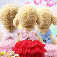 Dog Summer Dress Cat Lace Skirt Pet Clothing Chihuahua Stripe Skirt Puppy Cat Princess Apparel Cute Puppy Clothes Pet Shop Pet Clothing