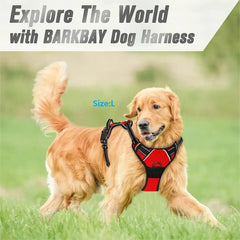 Dog Collars Harness Big Vests Leash Pet Shop Everything for Dogs Leather Puppy Accessories Medium Small Set Pet Shop