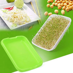 Natural Cat Grass Sprouting Tray Growing Kit Organic Wheat Grass Seeds Sprout Digestive Hairballs Hydroponic Potting Soil Set
