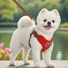 Pet Dog Harness Leash Set Small Medium Dog Cat Vest Breathable Puppy Chest Strap French Bulldog Chihuahua Harness Pet Supplies Pet Shop