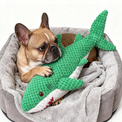 Pet Chew-Resistant Plush Interactive Toy with Sound, Parrot-Shaped, Suitable for Large, Medium, and Small Pets Like Cats and Dogs, Double-Layer Fabric, Built-In Airbag Pet Shop