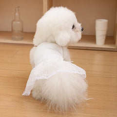 Bow Dog Princess Dress Dog Clothes Summer Black White Luxury Striped Skirt Dog Vest Chihuahua Bichon Yorkie Clothing for Dogs Pet Shop Pet Clothing