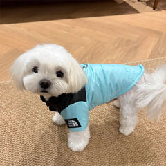 Pet Warm Cotton Coat Two-legged Dog Clothes Thickened Teddy Down Jacket Small to Medium Dog Cute Winter Pet Shop Pet Clothing