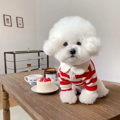 Summer Polo Shirt for Dogs Puppy Clothes Bichon Frise Chihuahua Stripe Dog Sweatshirt Dog Cooling Vest for Small and Medium Dogs Pet Shop Pet Clothing