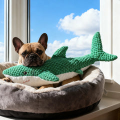 Pet Chew-Resistant Plush Interactive Toy with Sound, Parrot-Shaped, Suitable for Large, Medium, and Small Pets Like Cats and Dogs, Double-Layer Fabric, Built-In Airbag Pet Shop