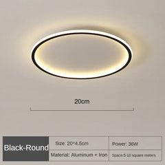 Nordic Minimalist LED Ceiling Light For Bedroom Living Room Aisle Study Room Balcony Circular Remote Control Lighting Chandelier