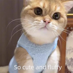 Creative Cat Sweater Cartoon Soft Pet Clothes Warm Fleece Windproof Dog Jacket for Puppy Cats