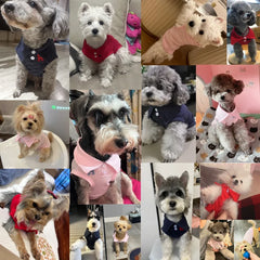 New Pet Dog Polo Shirt Dog Cool Clothes Soft Breathable Yorkie Chihuahua Puppy Clothes Dog Vest for Small Medium Dogs Costumes Pet Shop Pet Clothing