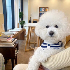 New Pet Dog Striped Sweatshirt Dog Clothes for Small Dogs Puppy Summer Clothes Soft Cat Dog Vest Bichon Chihuahua Dog Costumes Pet Shop Pet Clothing