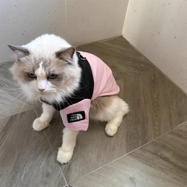 Pet Warm Cotton Coat Two-legged Dog Clothes Thickened Teddy Down Jacket Small to Medium Dog Cute Winter Pet Shop Pet Clothing