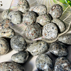 1PC/3PCS/5PCS 10-50mm Natural Yooperlite Tumbled Stones Crystal Minerals-UV Fluorescent,Glitter,Healing Crystal,Gift