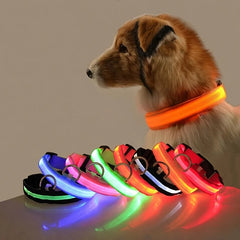 Nylon LED Night Safety Flashing Glow In The Dark Dog Leash Dogs Luminous Fluorescent Pet Dog Collar Pet Shop