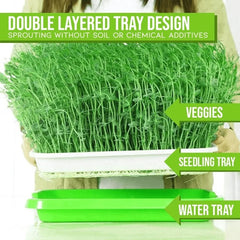 Natural Cat Grass Sprouting Tray Growing Kit Organic Wheat Grass Seeds Sprout Digestive Hairballs Hydroponic Potting Soil Set