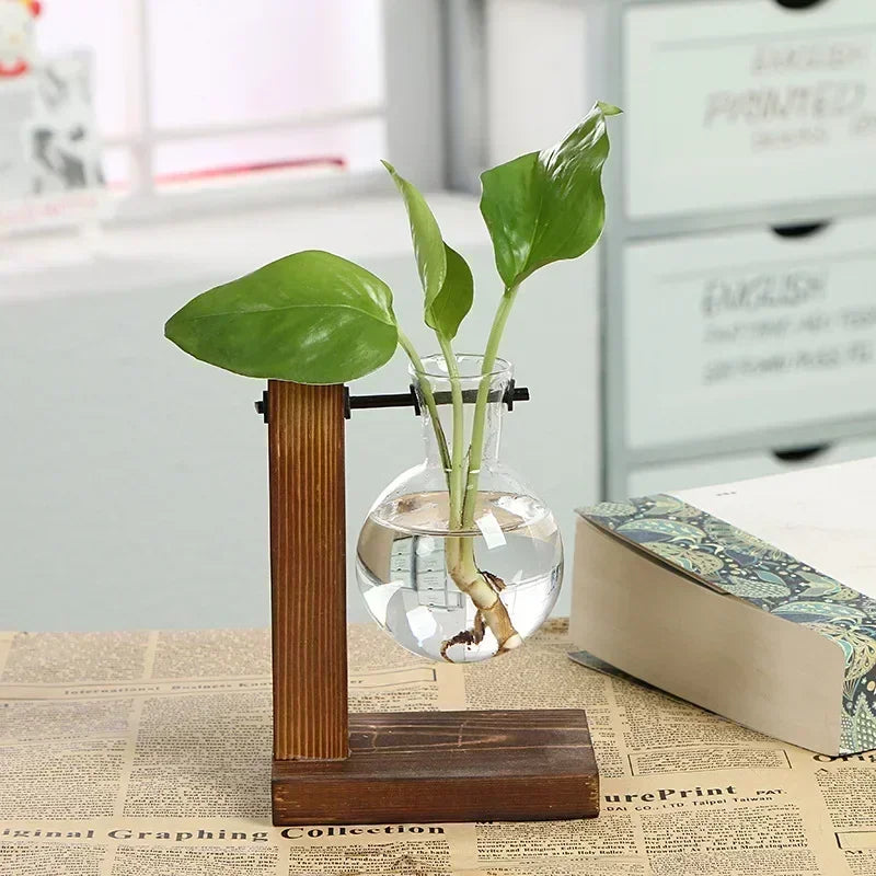 Glass Hydroponic Plant Terrarium Vase – Desktop Home Decor