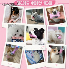 6 PCS Dog Chew Toys For Cleaning Teeth  Soft Rubber Bone Funny Ball Interactive Donut Treat Set For Small Medium Dogs Pet Gifts Pet Shop