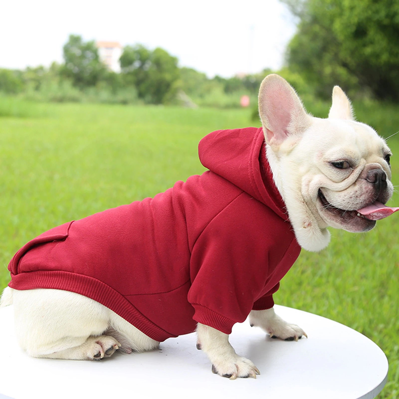 Fashion Dog Clothing Autumn And Winter Small Pet Clothes Thickening Warm Solid Color Two-Feet Hooded Wweater Casual Pet Shop Pet Clothing