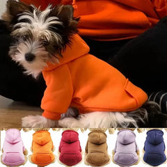 Puppy Pet Hooded Sweatshirt Autumn Winter Two-legged Pocket Cat Dog Clothes Pet Shop Pet Clothing