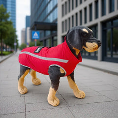 Warm Fleece Dog clothes Personalized Waterproof Winter Clothes for Small Medium Large Dogs Pet Clothing Jackets Dog Accessories