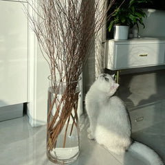 Extra Large Floor Glass Vase 50cm 60cm 80cm High Home Decor Living Room Decorations Standing Flower Vase Chinese Style