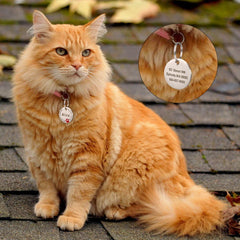 Personalized Dog Cat ID Tag Bling Rhinestone Puppy Kitten Name Tags Anti-lost Pet Collar Accessories Free Engraved Pet Products