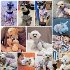 New Pet Dog Striped Sweatshirt Dog Clothes for Small Dogs Puppy Summer Clothes Soft Cat Dog Vest Bichon Chihuahua Dog Costumes Pet Shop Pet Clothing