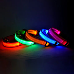 Nylon LED Night Safety Flashing Glow In The Dark Dog Leash Dogs Luminous Fluorescent Pet Dog Collar Pet Shop