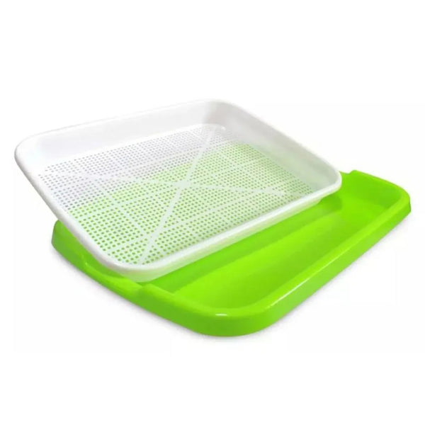 Natural Cat Grass Sprouting Tray Growing Kit Organic Wheat Grass Seeds Sprout Digestive Hairballs Hydroponic Potting Soil Set