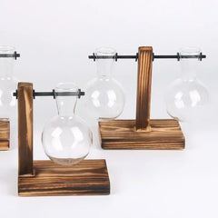 Glass Hydroponic Plant Terrarium Vase – Desktop Home Decor
