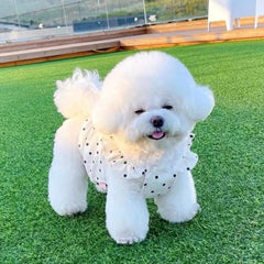 Cute Pet Dog Dress Dot Dog Summer Clothes Puppy Skirt Chihuahua Bichon French Bulldog Clothing Thin Girl Dog Costume Pet Shop Pet Clothing