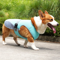 Cooling Vest - Breathable Dog Vest for Hot Summer Days - Adjustable & Lightweight Cooling Jacket with Reflective Strips Pet Shop Pet Clothing