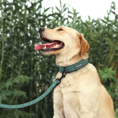 Custom Leather Dog Collar Leash Personalized Pet Collar and Leash Set Durable Leather Collar Lead for Small Medium Large Dogs Pet Shop