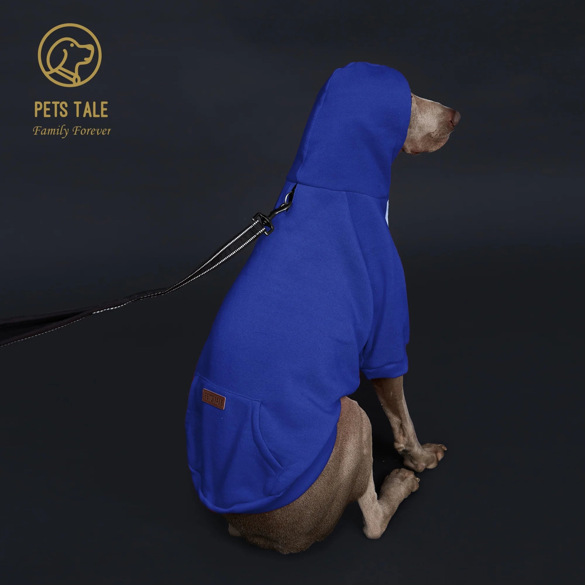 Solid Color Dog Hoodie with Pocket, Leather Patch, Hook and Loop Fastener Pet Shop
 Pet Clothing