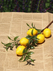 1pcLuxury Lemon Fruit Branch With Green Leaves Artificial Flowers Home Photography Props Flores Artificales Fake Plants Home Decor, Plants & flowers
