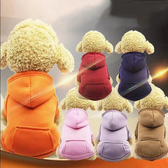 Puppy Pet Hooded Sweatshirt Autumn Winter Two-legged Pocket Cat Dog Clothes Pet Shop Pet Clothing